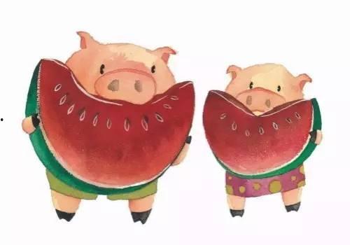梦到猪吃瓜,猪儿吃瓜的奇幻之旅
