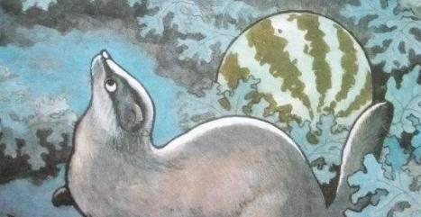 吃瓜的猹梗,揭秘网络热词背后的趣味与思考