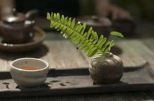 吃瓜喝茶看热闹,吃瓜喝茶，品味人间百态