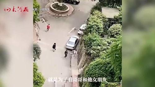 重庆男人树上吃瓜,诠释山城生活新风尚